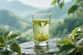 喝新（绿）茶伤胃？很可能是你“姿势”不对！图片