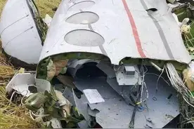 紫牛热点|菲律宾失事飞机为小型公务机，导致4人和1头牛死亡图片