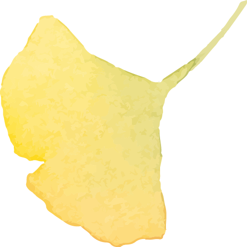 镇 江 开 启 浪 漫 模 式