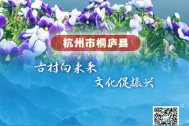 典型案例｜杭州市桐庐县：古村向未来 文化促振兴图片