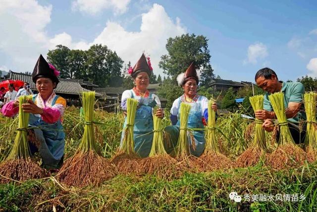 双节融水8天游“保姆级”攻略 听我的不踩坑、不纠结、直接抄