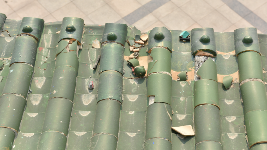 焕新归来！沂水东皋公园：四季有景夜有光 古塔生辉美出圈