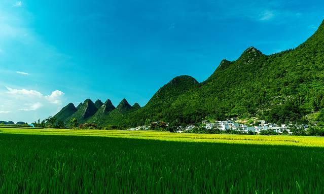 去有风的地方
