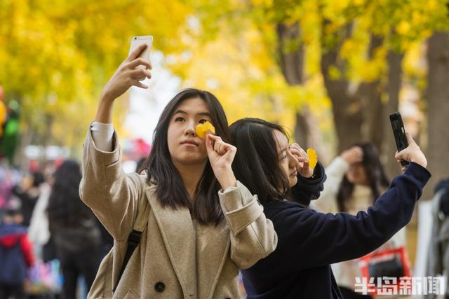 青岛故事 | 八大关银杏大道流量十足，这款落叶帽子火了！