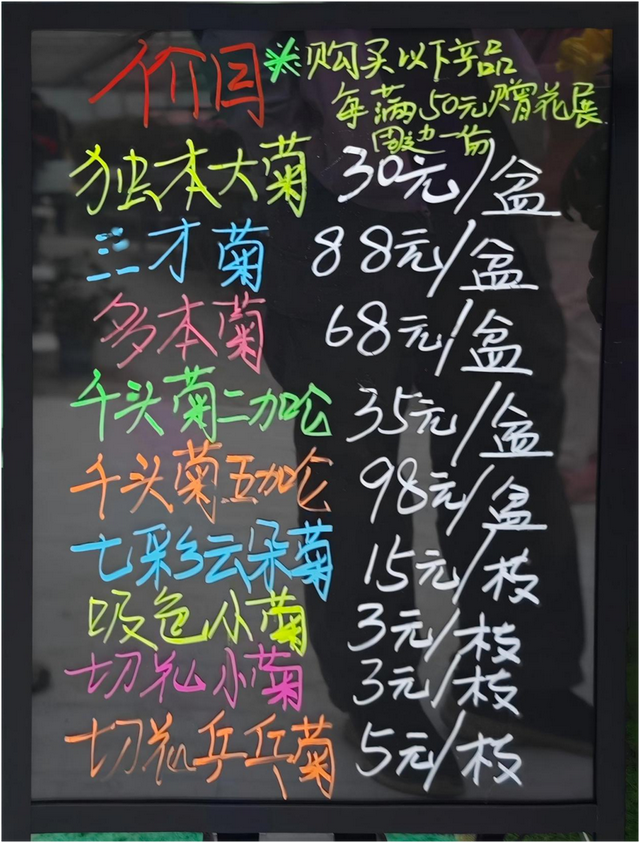 限时开启！花展进行中，还可以带回家→