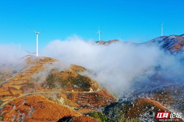 【每日一图@湖南】雾凇挂枝，流云绕风车！桂东万洋山冬景如画
