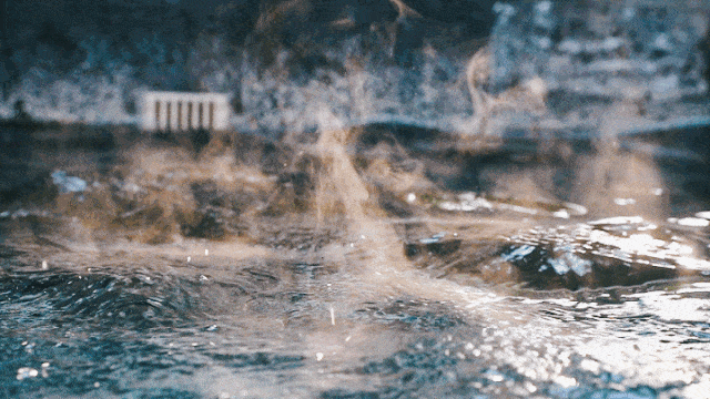 抓紧出发！错过就要等明年！