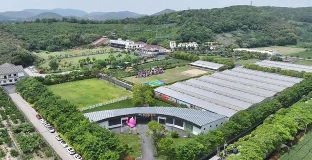 免费！上虞中小学生秋假福利来了