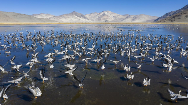 科考旅行｜秘境山南生态考察报名