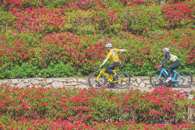 藏不住了，广西这座城市的冬天“开挂”了！