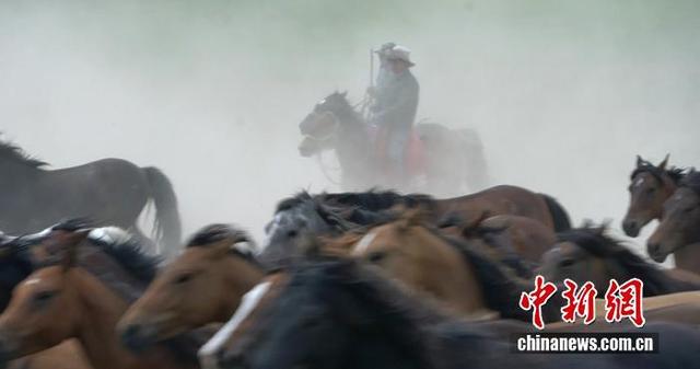 央媒看武威丨“马”上千年 一匹马跑成文旅顶流