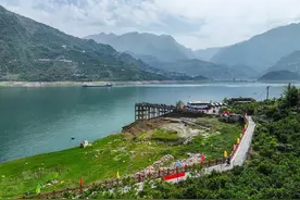 湖北秭归：乐享脐橙采摘游图片