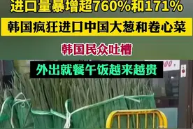 进口量暴增超760%和171%，韩国疯狂进口中国大葱和卷心菜，韩国民众吐槽外出就餐午饭越来越贵图片