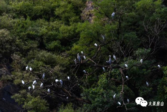 【冬游房山】打卡这十件小事，解锁你的过冬仪式感
