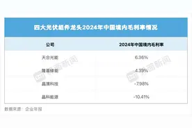 四大光伏组件龙头谁在美洲市场表现最好？图片