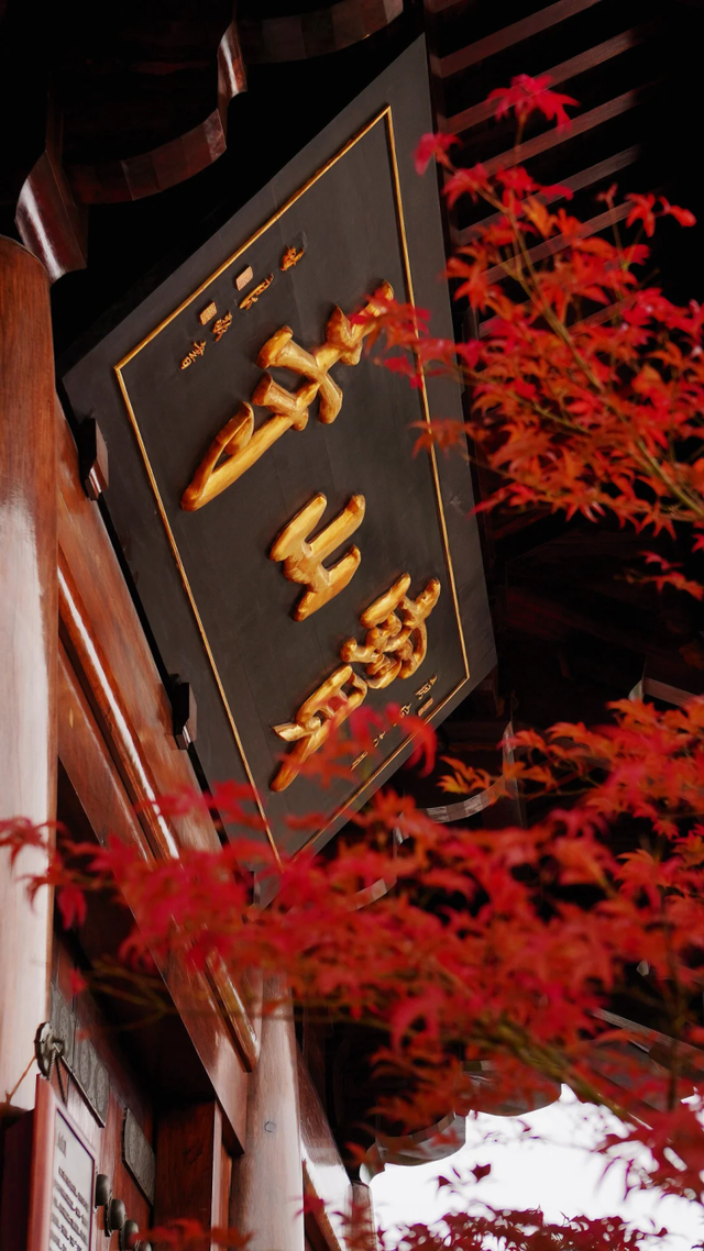 枫叶红了！上海这座古建筑，竟然能一秒穿越回大唐→