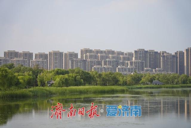 一年四季 泉在济南丨水清岸绿、草木葱茏！初秋华山湖畔诗意浓