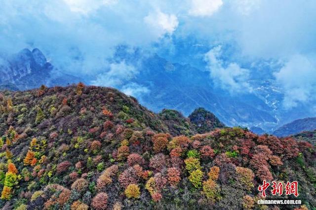 湖北恩施：红黄绿黛绘斑斓