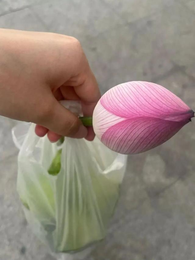 大武汉一日︱地铁口偶遇“季节盲盒”小摊，他把时令过成诗