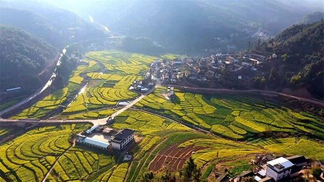 楚雄花开成海！你期盼的春天提前来了