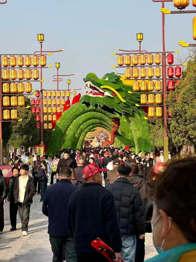 官宣！龙亭菊展延期！