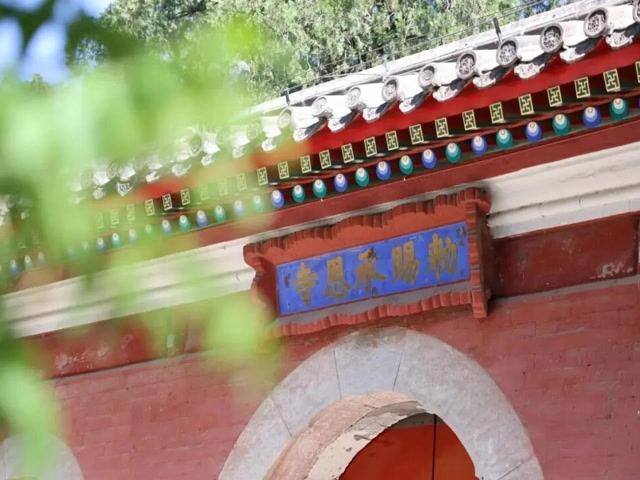 北京号最精彩 | 赏秋正当时！哪里最出片？这份攻略请收好