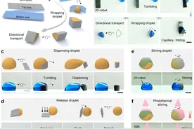 用飞秒激光制造出磁响应“双面神折纸”机器人图片