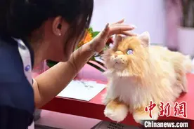 探馆2023世界机器人大会：机器人加速走进日常生活图片