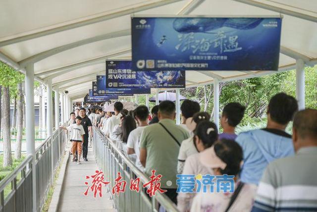 山东博物馆暑期客流攀升，再现"文化春运"