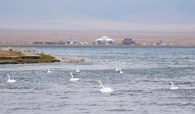 砥砺奋进七十载 天山南北谱华章丨新疆赛里木湖：绘就生态旅游新图景