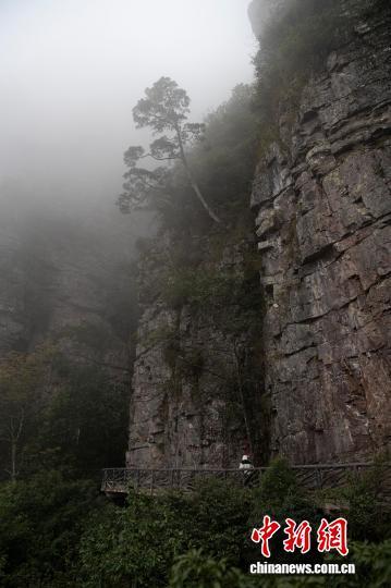 广西大瑶山盘王界景区云雾缭绕如水墨画