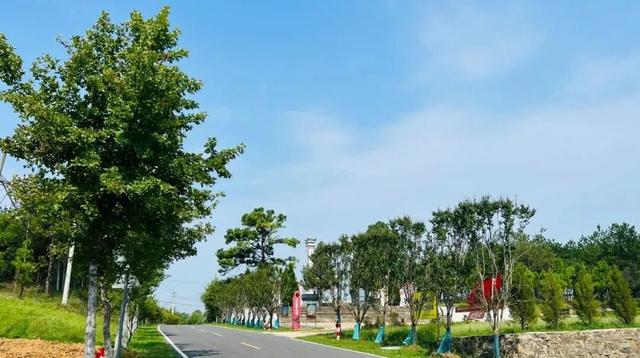 新洲：“景”上添花，勾勒生态新城