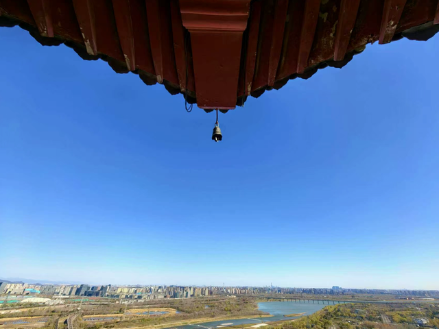 园博园初冬，赴一场静美之约