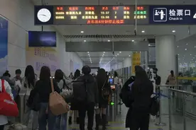2024年广深港跨境高铁列车开行数量日均超130列图片