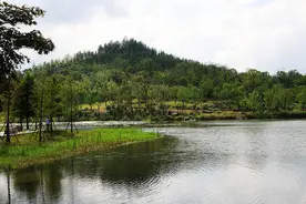 上海双子山明天起可预约免费登山，未预约将无法进入图片