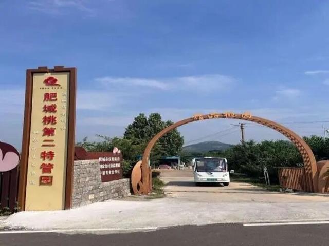 漫步古村、戏水漂流、滑车飞驰...快来解锁肥城秋日慢时光~