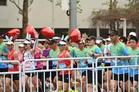 月入四万的“私兔”，成为马拉松里的职业破风者图片