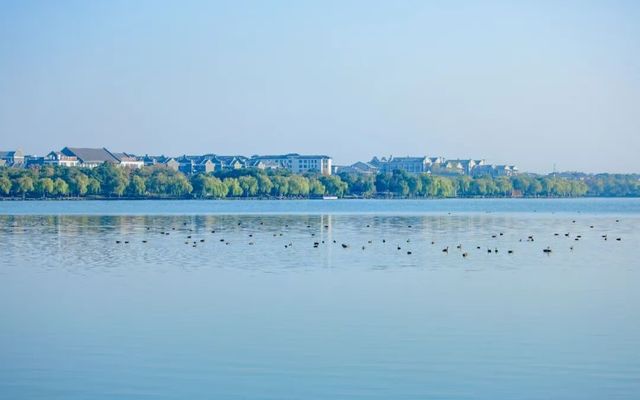 美翻了！南湖，正是红橙黄绿时