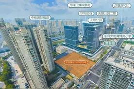 最后一宗限价地名花有主，杭州楼市“限价时代”正式落幕图片