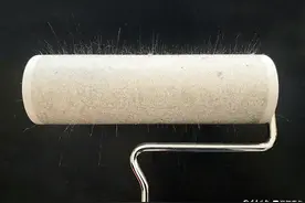 今视角|养猫必备粘毛神器图片