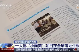 对外援助从未停步 多个“小而美”项目在全球落地生根图片