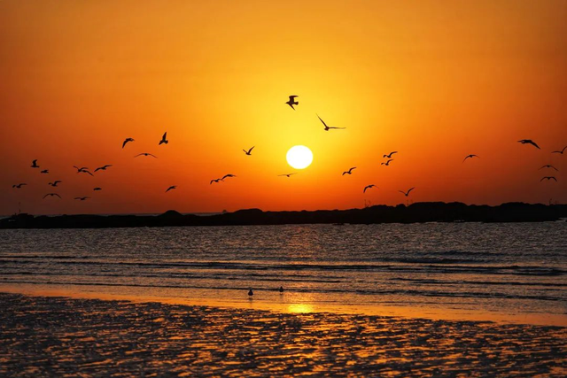 听说，冬天来日照大家都干这件事……