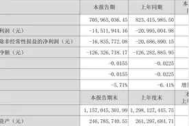ST中嘉：2023年上半年亏损1451.19万元图片