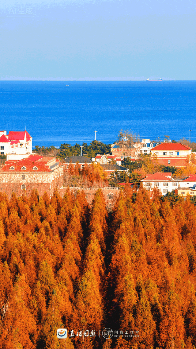 日照，“毛茸茸”！