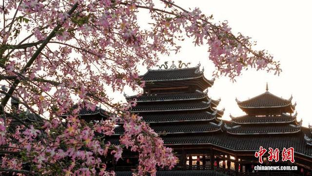 广西三江侗乡：花映廊桥美如画