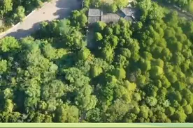 微视频 | “新”中有数 2024看美丽中国建设图片
