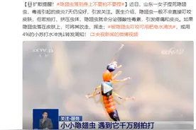 扩散提醒！隐翅虫落到身上不要拍不要捏图片