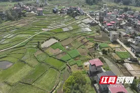 祁阳：首次开展整村推进高标准农田“小改大”试点示范建设项目图片