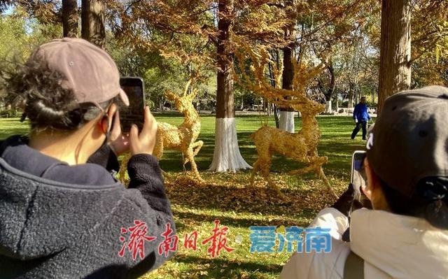 一年四季 泉在济南丨落叶绘“萌鹿”  济南五龙潭打卡冬日限定浪漫