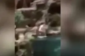 美国一男子开车冲撞电线杆 随后裸身跳水族馆鱼缸被捕图片